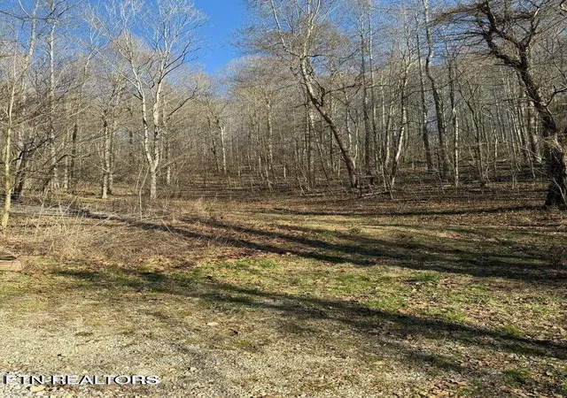 Photo 3 of Land for sale at 0 Jackson Ridge Rd, Tazewell, TN 37879 | MLS# 3306009 | Listing updated on 2026-08-03