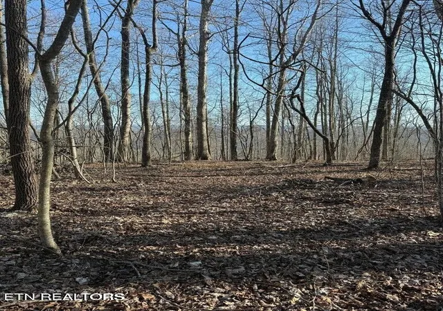 Photo 4 of Land for sale at 0 Jackson Ridge Rd, Tazewell, TN 37879 | MLS# 3306009 | Listing updated on 2026-08-03