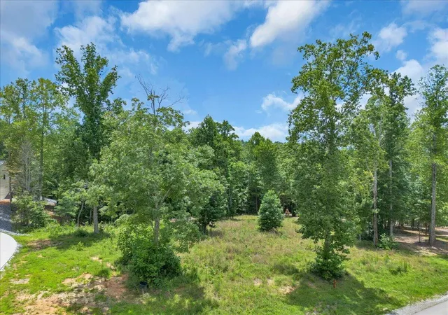 3rd image of 0 Moonlight Lane, Jasper, TN 37347 | MLS# 3123484