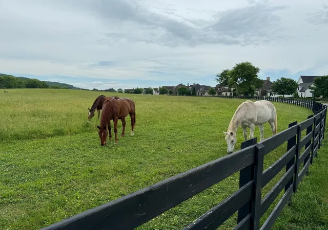 3rd image of 6017 Native Pony Trl, College Grove, TN 37046 | MLS# 3123617