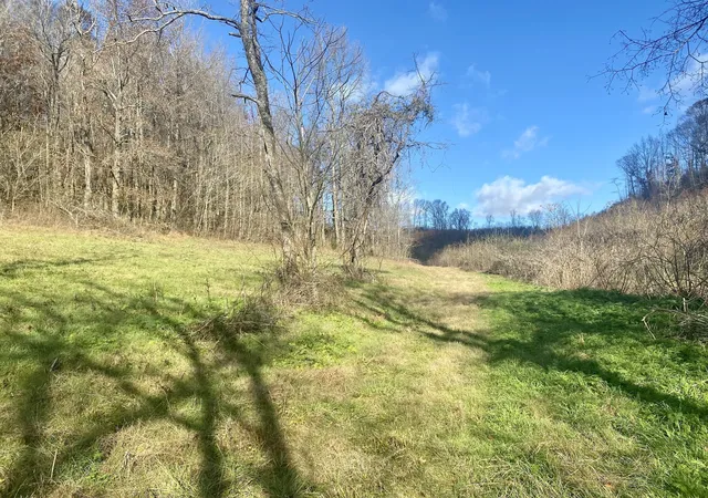 4th image of 4570 Hwy 64 E, Pulaski, TN 38478 | MLS# 3123804