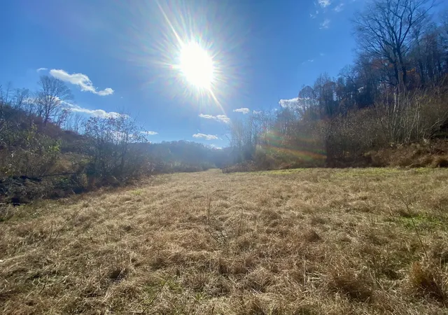 5th image of 4570 Hwy 64 E, Pulaski, TN 38478 | MLS# 3123804