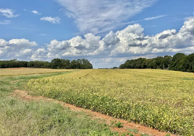 4th image of 0 Nor Nan Rd, Winchester, TN 37398 | MLS# 3124403