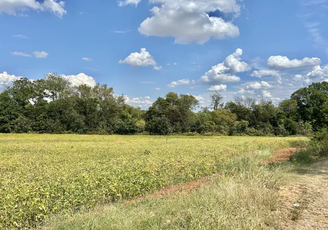5th image of 0 Nor Nan Rd, Winchester, TN 37398 | MLS# 3124403