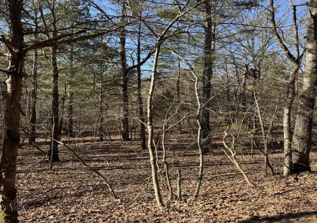 1st image of 2311 John Wesley Trail, Harrison, TN 37341 | MLS# 3216192