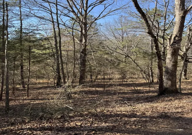 2nd image of 2311 John Wesley Trail, Harrison, TN 37341 | MLS# 3216192