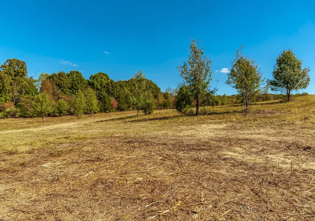 26th image of 123 Rock Bridge Rd, Bethpage, TN 37022 | MLS# 3127606