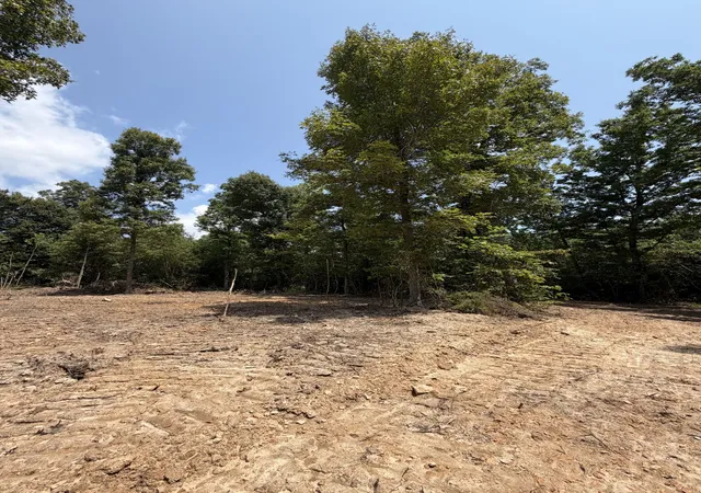 1st image of 0 Furnace Hollow Road, Dickson, TN 37055 | MLS# 3231185