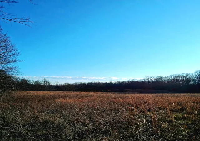 2nd image of 0 Burr Rd, Springfield, TN 37172 | MLS# 3136514