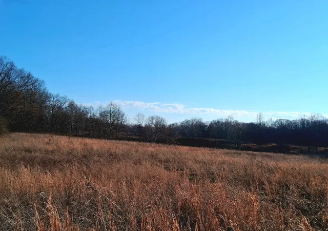 3rd image of 0 Burr Rd, Springfield, TN 37172 | MLS# 3136514