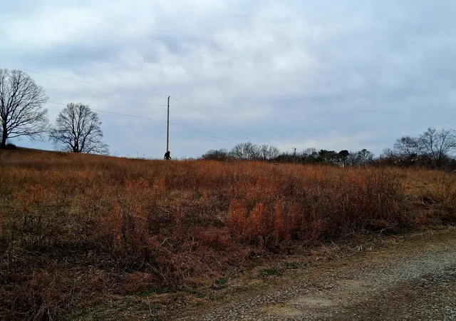 4th image of 0 Burr Rd, Springfield, TN 37172 | MLS# 3136514