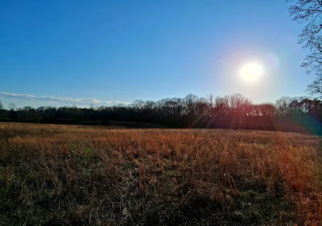 1st image of 0 Burr Rd, Springfield, TN 37172 | MLS# 3136514