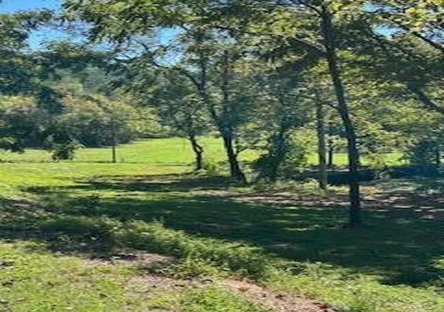 4th image of 6166 Chestnut Valley Road, Vonore, TN 37885 | MLS# 3223325