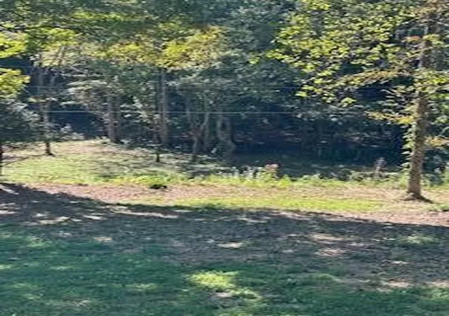 5th image of 6166 Chestnut Valley Road, Vonore, TN 37885 | MLS# 3223325