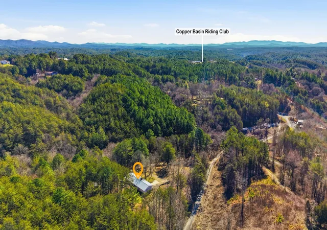 Homes for sale in Copperhill, TN | 150 Beavers Lane, Copperhill, TN 37317 | MLS# 3255896