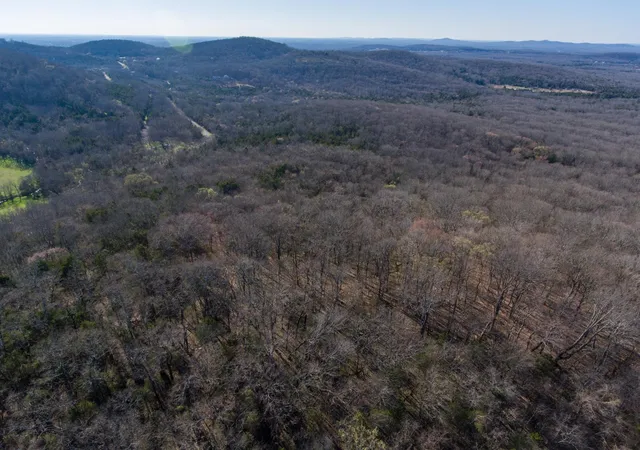 20th image of 3434 Fosterville Short Creek Rd, Bell Buckle, TN 37020 | MLS# 3128832