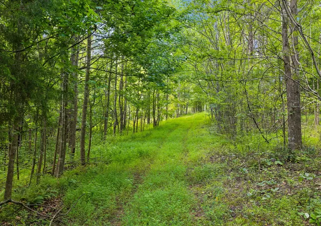 Photo 2 of Land for sale at 0 Mosley Fry Rd, Ashland City, TN 37015 | MLS# 3134822 | Listing updated on 2026-08-24