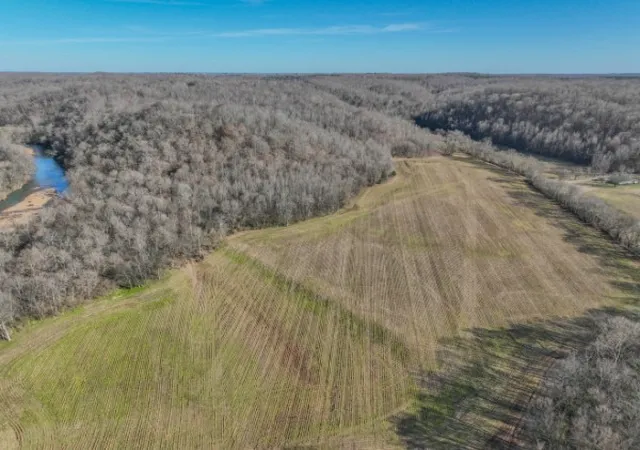 Homes for sale in Iron City, TN | 0 Tidwell Hollow Rd, Iron City, TN 38463 | MLS# 3128964