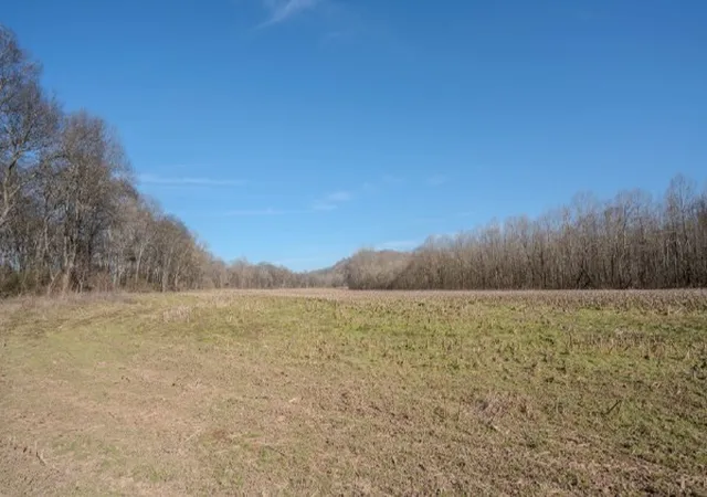Homes for sale in Iron City, TN | 0 Tidwell Hollow Rd, Iron City, TN 38463 | MLS# 3128964