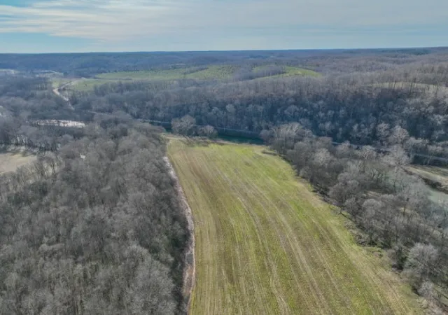 Homes for sale in Iron City, TN | 0 Tidwell Hollow Rd, Iron City, TN 38463 | MLS# 3128964