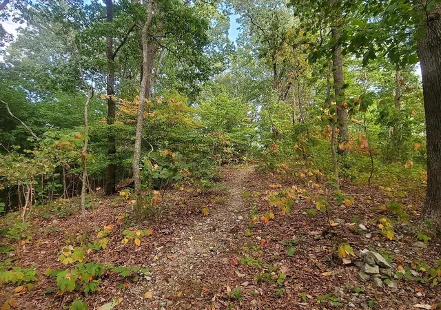 Land for sale at 6621 Chatsworth Pl, Nashville, TN 37205 | MLS# 3131982