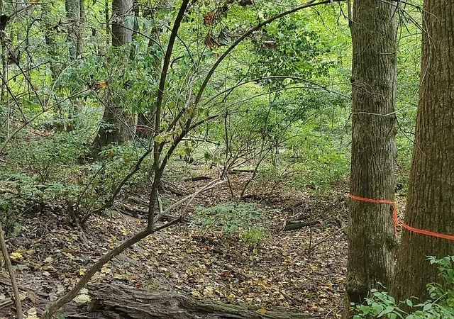 Photo 3 of Land for sale at 6621 Chatsworth Pl, Nashville, TN 37205 | MLS# 3131982 | Listing updated on 2026-08-12