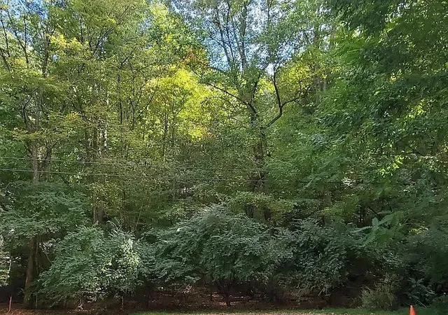Photo 3 of Land for sale at 6621 Chatsworth Pl, Nashville, TN 37205 | MLS# 3131982 | Listing updated on 2026-08-12