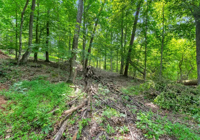 19th image of 3132 Cherokee Circle Circle, Ten Mile, TN 37880 | MLS# 3181994