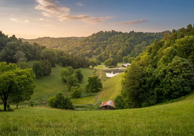 4th image of 1425 Bartlett Hollow Rd, Petersburg, TN 37144 | MLS# 3131354