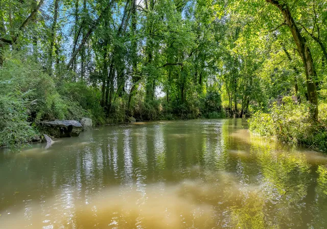 4th image of 0 Clyde Gleaves Rd, Wartrace, TN 37183 | MLS# 3146623