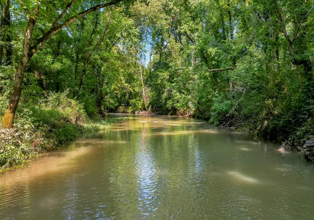 5th image of 0 Clyde Gleaves Rd, Wartrace, TN 37183 | MLS# 3146623
