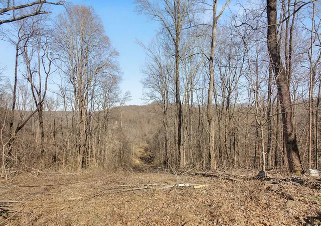 Homes for sale in Hampshire, TN | 5076 Southpoint Ridge Road, Hampshire, TN 38461 | MLS# 3132374