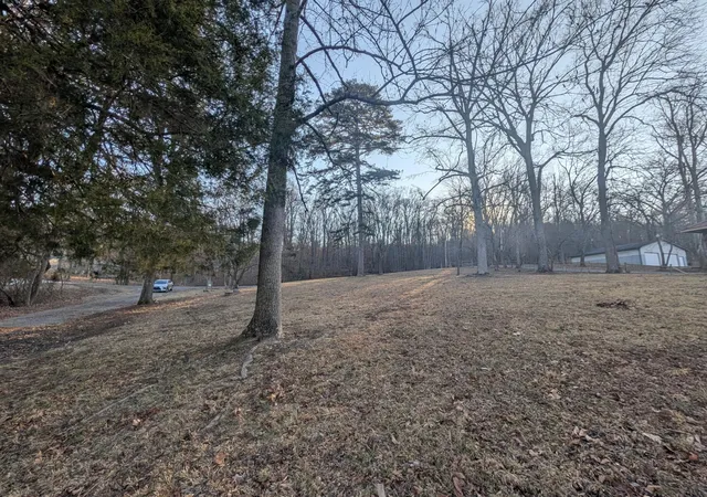 3rd image of 0 Lakewood Village Road, Spring City, TN 37381 | MLS# 3304358