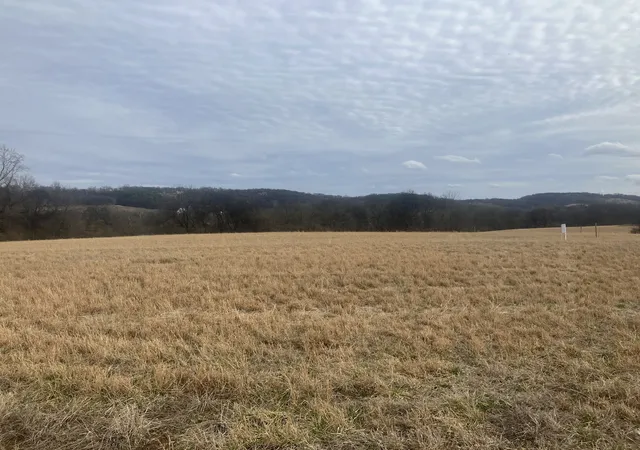 Photo 1 of Land for sale at 7 Southport Rd, Mount Pleasant, TN 38474 | MLS# 3132985 | Listing updated on 2026-02-20