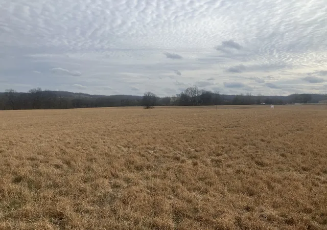 Photo 3 of Land for sale at 7 Southport Rd, Mount Pleasant, TN 38474 | MLS# 3132985 | Listing updated on 2026-02-20
