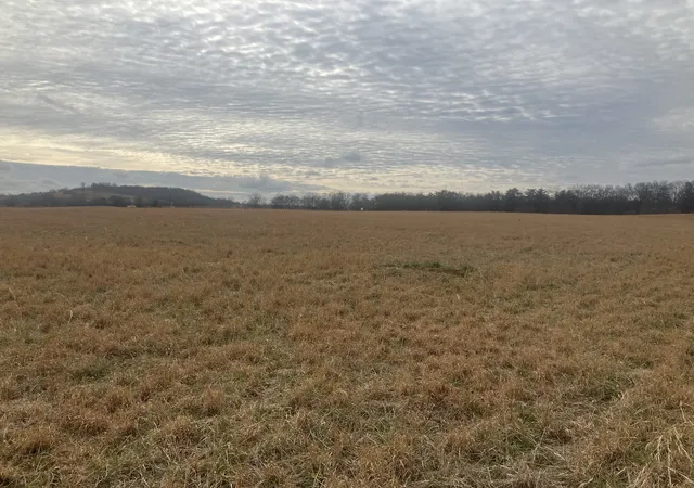 Photo 3 of Land for sale at 7 Southport Rd, Mount Pleasant, TN 38474 | MLS# 3132985 | Listing updated on 2026-02-20