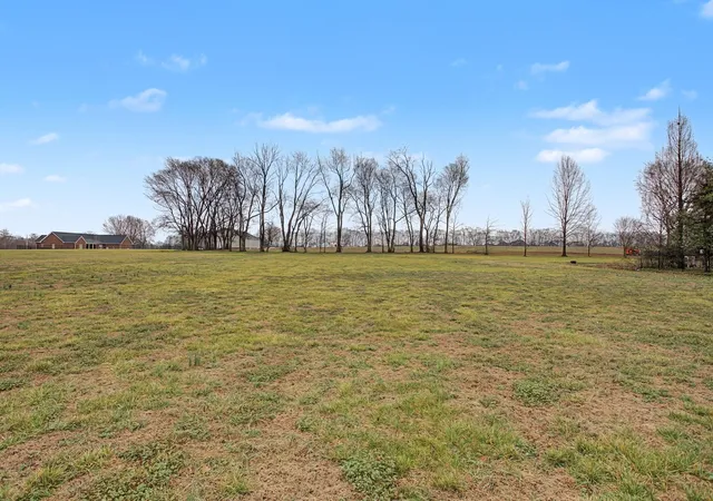 Homes for sale in Columbia, TN | 6913 Zion Crossing Court, Columbia, TN 38401 | MLS# 3133518