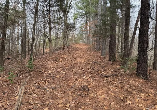 Photo 3 of Land for sale at 613 Williams Grv Rd, Camden, TN 38320 | MLS# 3133070 | Listing updated on 2026-08-18