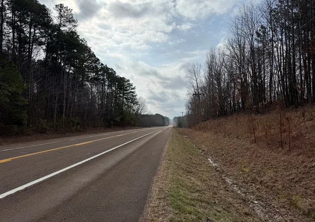 Photo 3 of Land for sale at 696 Williams Grv Rd N, Camden, TN 38320 | MLS# 3133073 | Listing updated on 2026-08-18