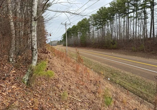Photo 3 of Land for sale at 696 Williams Grv Rd N, Camden, TN 38320 | MLS# 3133073 | Listing updated on 2026-08-18