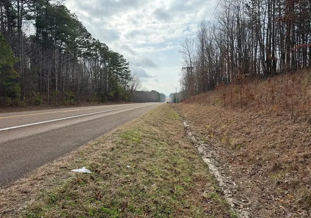 Photo 4 of Land for sale at 696 Williams Grv Rd N, Camden, TN 38320 | MLS# 3133073 | Listing updated on 2026-08-18
