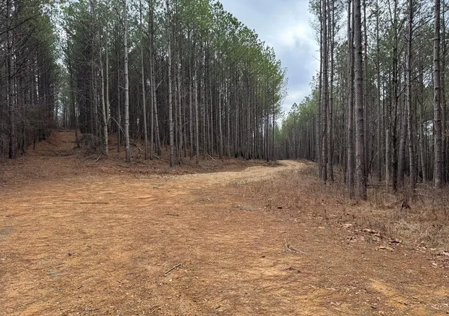 10th image of 0 Hwy 641 N N, Camden, TN 38320 | MLS# 3133073