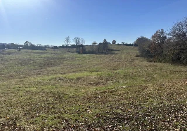 Homes for sale in Carthage, TN | 0 Mcclures Bend Ln, Carthage, TN 37030 | MLS# 3133233