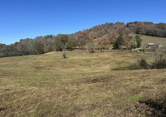 Homes for sale in Carthage, TN | 0 Mcclures Bend Ln, Carthage, TN 37030 | MLS# 3133233