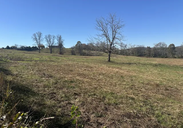 Homes for sale in Carthage, TN | 0 Mcclures Bend Ln, Carthage, TN 37030 | MLS# 3133233
