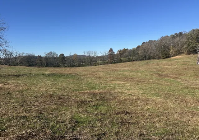 Homes for sale in Carthage, TN | 0 Mcclures Bend Ln, Carthage, TN 37030 | MLS# 3133233
