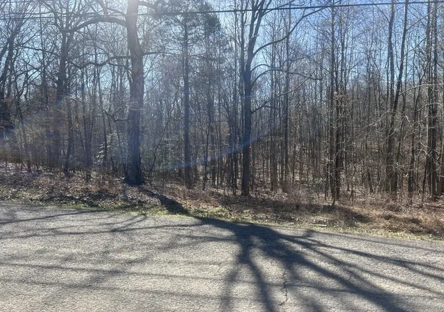 3rd image of 0 Sales Landing Rd, Camden, TN 38320 | MLS# 3133403