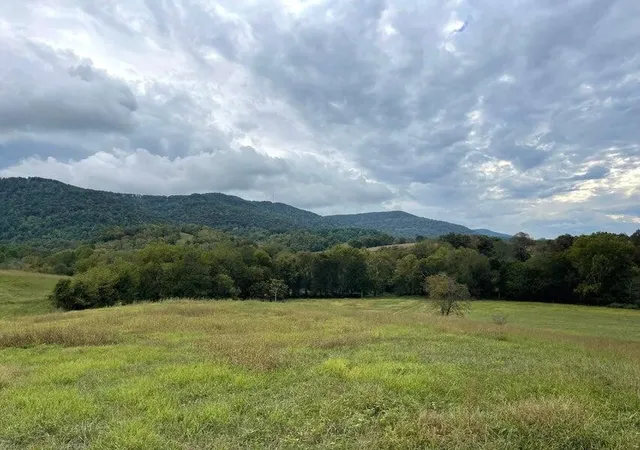 4th image of 12 Upper East Valley, Pikeville, TN 37367 | MLS# 3133411