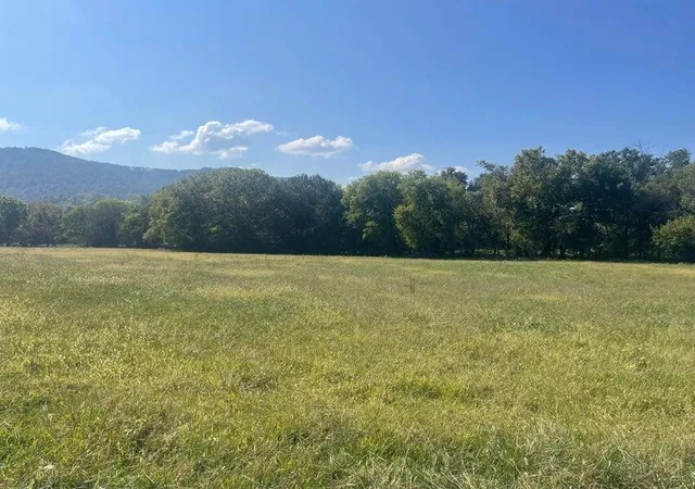 5th image of 12 Upper East Valley, Pikeville, TN 37367 | MLS# 3133411
