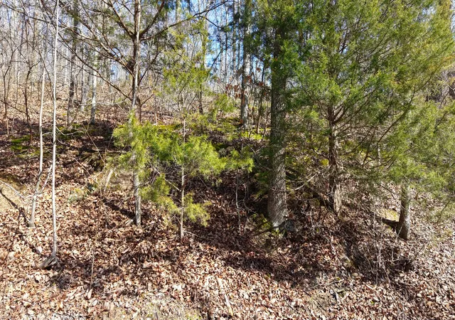 Photo 3 of Land for sale at 0 Highway 100, Nashville, TN 37221 | MLS# 3145592 | Listing updated on 2026-06-29